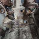 천안용곡초등학교 이미지