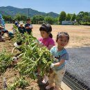회남초등학교 이미지
