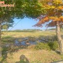 강화읍-3 이미지