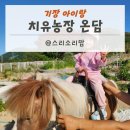 양은용농장 | 기장아이랑 가볼만한곳 치유농장온담 딸기케이크만들기부터 승마체험까지 풀코스 후기