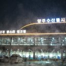 양주수산물시장(2층) 네이버블로그