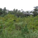 신흥보건진료소 이미지