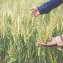 임마누엘온누리약국 이미지