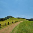 연산동고분군 이미지