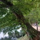 오형석 가옥 문간채 이미지