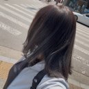 신시가지 (스타벅스 앞) | 전주아우룸헤어 전주 신시가지 미용실 전주아우룸헤어염색후기