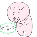 하프스튜디오샤로수길