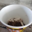 뭉쓰살롱 이미지