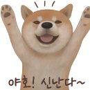 여유로움헤어 이미지