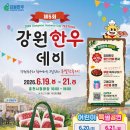 한우데이