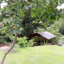 지리산아름다운펜션 이미지