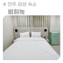 비하녹 이미지
