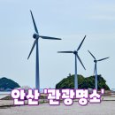 풀하우스공인중개사사무소 | 안산 '관광명소' 추천