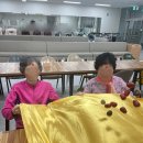 백세누리지사 | 오감나무