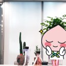 잉글리쉬무무삼성영어학원 이미지