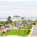 송지호오토캠핑장 이미지