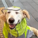 으지네민박 이미지