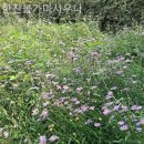 한진불가마사우나 이미지