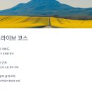 꽃밭주유소 | 제주도 렌트카로 떠나는 쏘카 유채꽃 여행