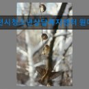 부천시여성청소년센터 | 부천시청소년상담복지센터 원미센터 청소년 고민, 함께 해결합니다