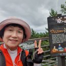 갑수씨랑 창원 웅산, 안민고개데크로드 산책(2023.7.25. 화) 이미지