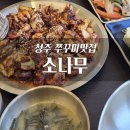 소나무 | 청주 쭈꾸미 맛집 추천｜동남지구 소나무 쭈꾸미볶음 후기