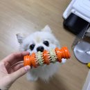 뚱땅뚱땅 이미지