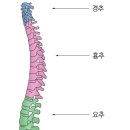 YS휘트니스 이미지