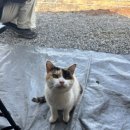 청풍호반 캠핑장 이미지