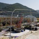 진성농장2 이미지