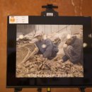 서산기쁨농장 이미지