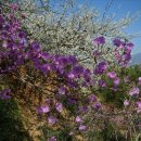 아버님농장 이미지