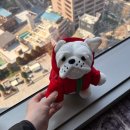 보송갈비 | 포시즌스 서울 아이와 함께 프리미어 더블 룸 인왕산 뷰 호캉스 후기