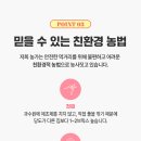 제제스토어