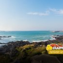 해피데이애견 이미지