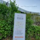 레베빌 | 용인 기흥 호수가 보이는 뷰가 멋진 야외 테라스 카페 &#39;커피라이커스&#39; : 기흥롯데프리미엄아울렛 이케아...