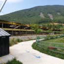 한우드림농장 이미지