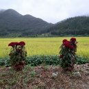 수평경로당 이미지