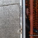 천지농원 이미지