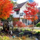 초락나루펜션 이미지