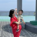 하늬바다 민박 | [23개월 아이와강원도여행 3일차] - 백섬해상전망대, 고성왕곡한옥마을, 건봉사, 하늬라벤더팜에 다녀오다!