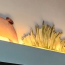 동래손치과의원 이미지