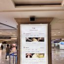 다이너스티 웨딩뷔페 | [웨딩홀 투어 체크리스트] 신도림 웨스턴 베니비스 다이너스티홀 계약, 뷔페 시식 후기