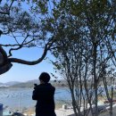 은비네수산 이미지