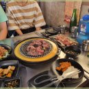 신마포갈매기 이미지