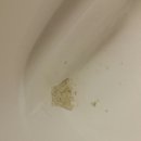 마포-현장-마포-1501 | [마포구 입주청소]아현동 마포래미안푸르지오 입주청소, 새집증후군, 싱크대상판코팅 작업 진행 후기