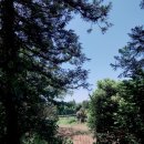 카페바움 이미지