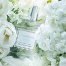 아로아로 이미지