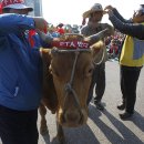 한뿔축산 이미지