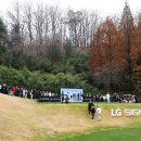 플레이어스 이미지